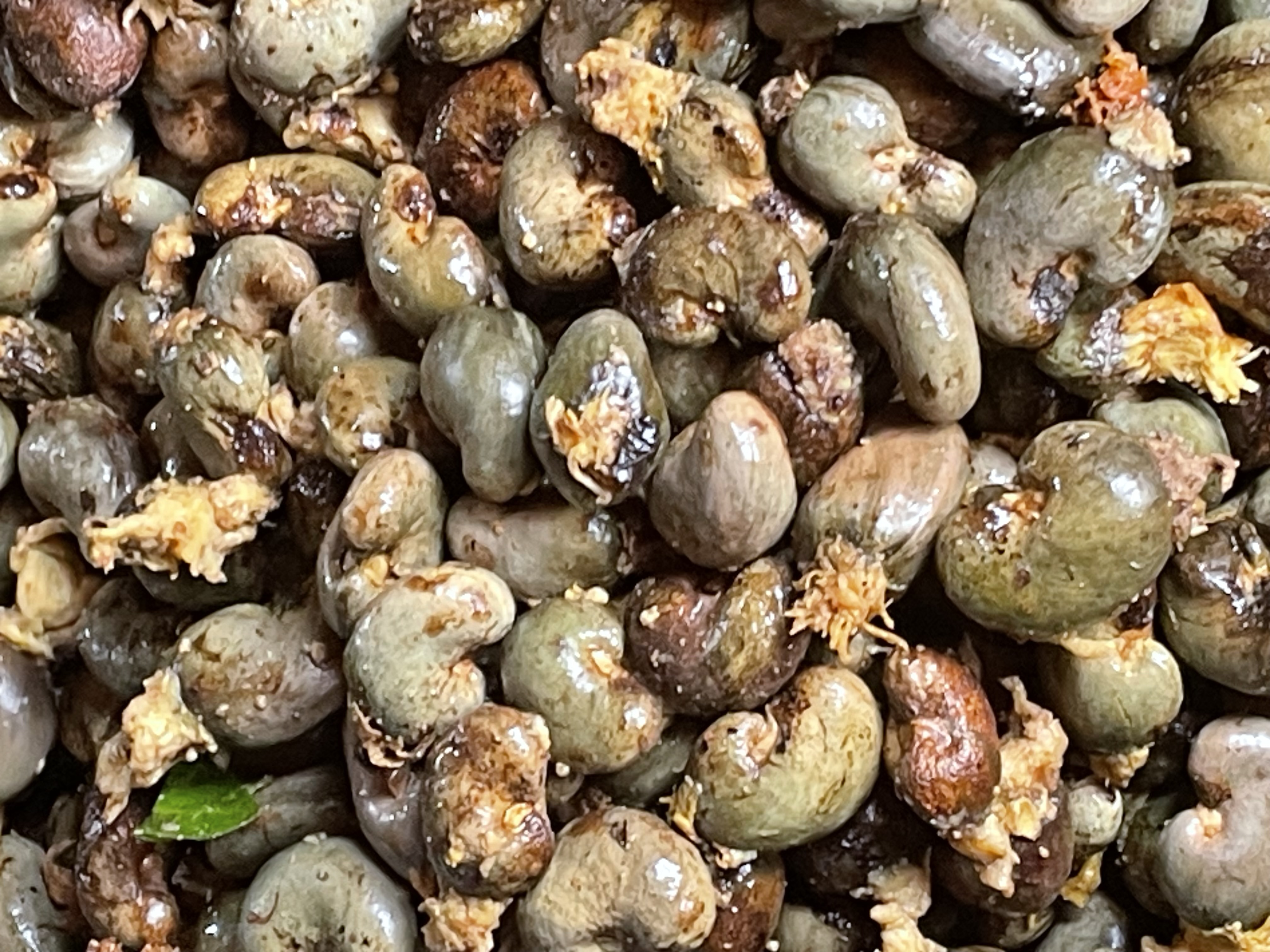 Raw Cashew Nuts